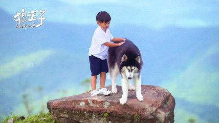 狼王子在线观看18,18岁青春冒险之旅 第2张 狼王子在线观看18,18岁青春冒险之旅 第2张