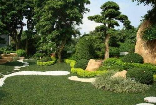 园林绿化爆料视频大全,揭秘美丽背后的秘密 第2张 园林绿化爆料视频大全,揭秘美丽背后的秘密 第2张